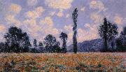 Claude Monet Field of Poppies china oil painting reproduction